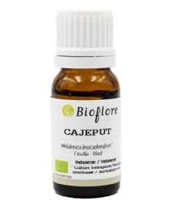 Cajeput (Melaleuca cajuputii)